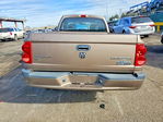 Dodge Dakota 2010
