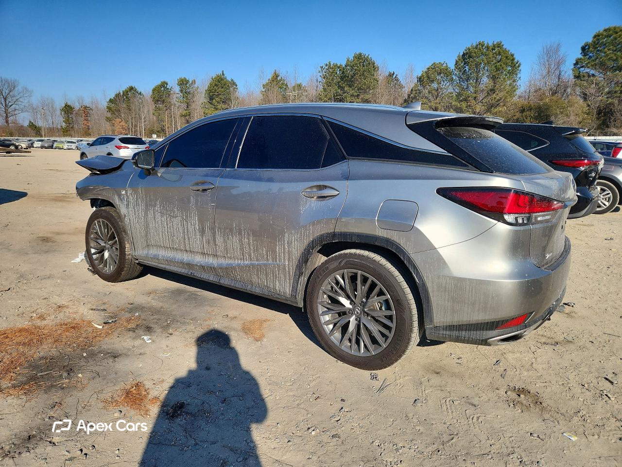 Lexus RX 2020