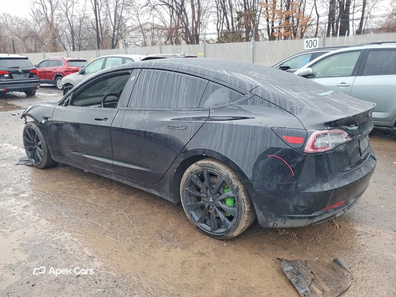 Tesla Model 3 2019