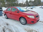 Toyota Corolla 2009