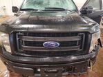 Ford F-150 2013