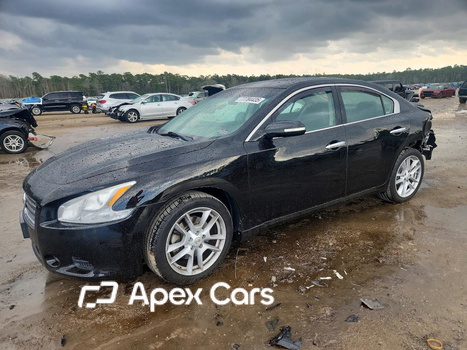 Nissan Maxima 2010 - Image 1 of 13