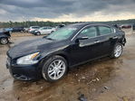 Nissan Maxima 2010