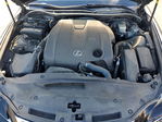 Lexus IS 2014