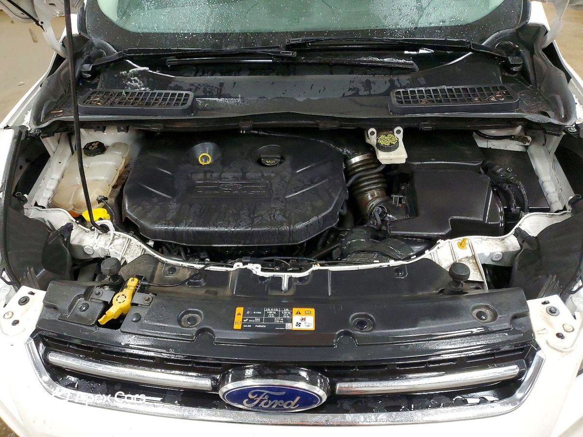 Ford Escape 2014