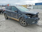 Ford Escape 2015