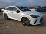 Lexus RX 2024