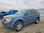 Ford Escape 2011