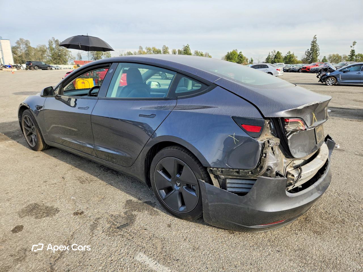 Tesla Model 3 2021