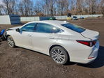 Lexus ES 2020