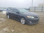 Toyota Camry 2013
