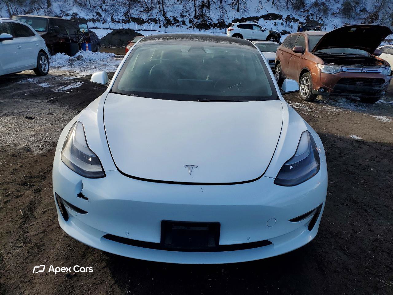Tesla Model 3 2021