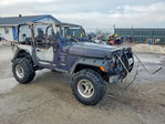 Jeep Wrangler 1999
