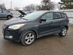 Ford Escape 2015