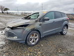 Ford Escape 2015