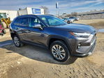 Toyota RAV 4 2023