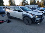 Subaru Outback 2024