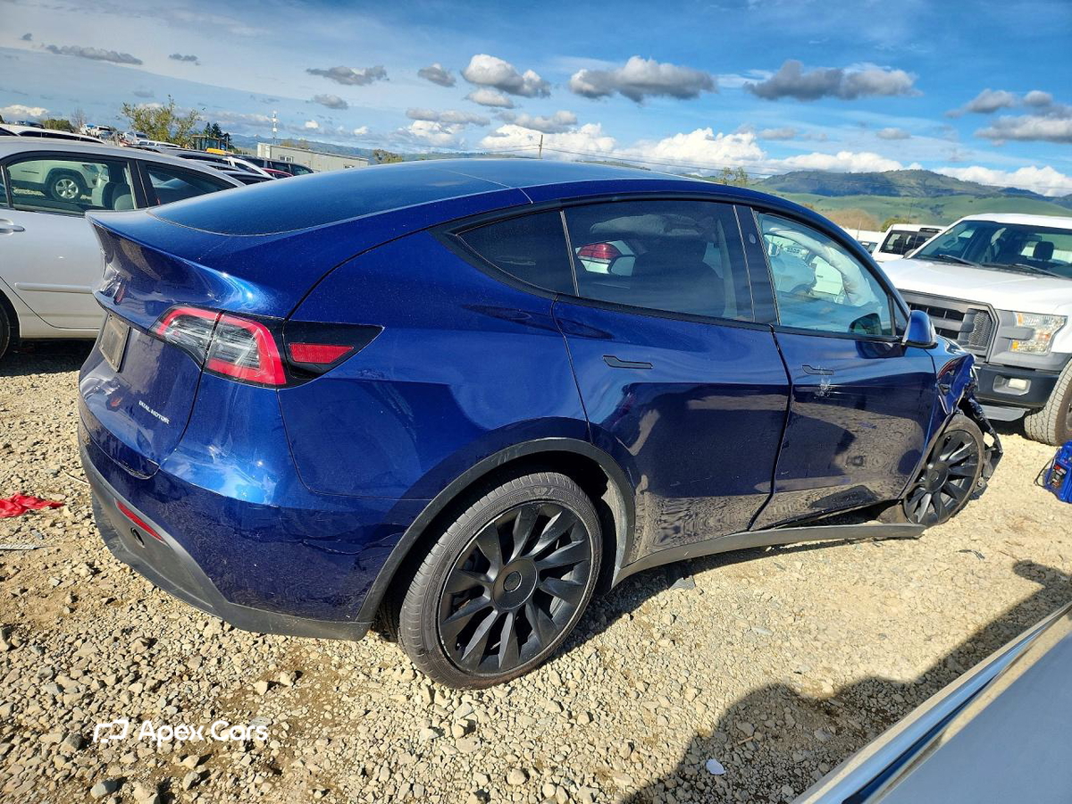 Tesla Model Y 2024