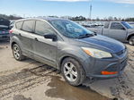 Ford Escape 2015