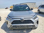 Toyota RAV 4 2025