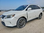 Lexus RX 2013