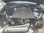 Audi Q7 2023