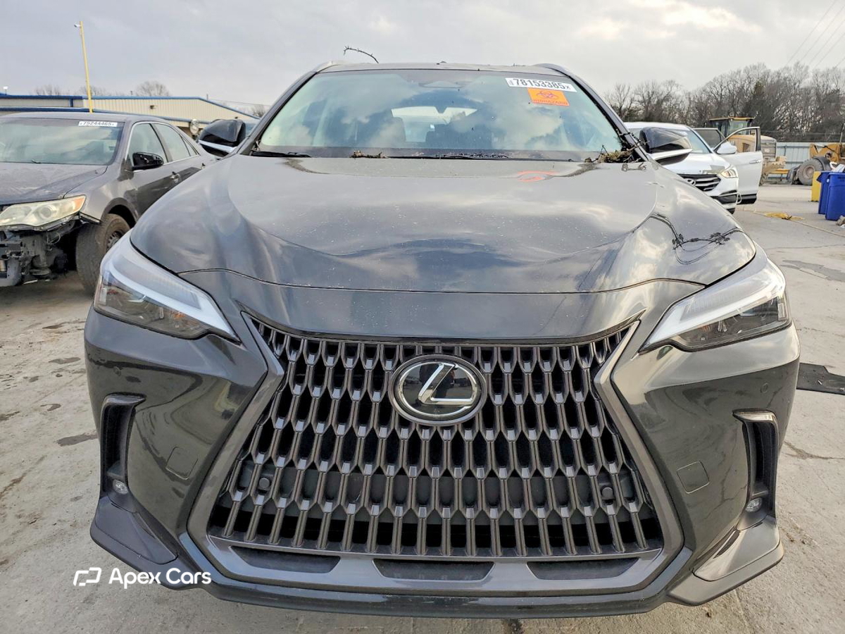 Lexus NX 2024