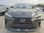 Lexus NX 2024