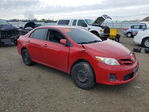 Toyota Corolla 2012