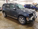 Ford Escape 2008