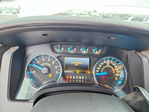 Ford F-150 2013