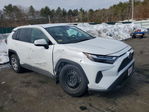 Toyota RAV 4 2023