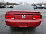 Ford Mustang 2008