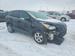Ford Escape 2014