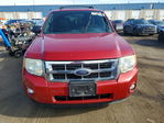 Ford Escape 2010