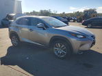 Lexus NX 2015