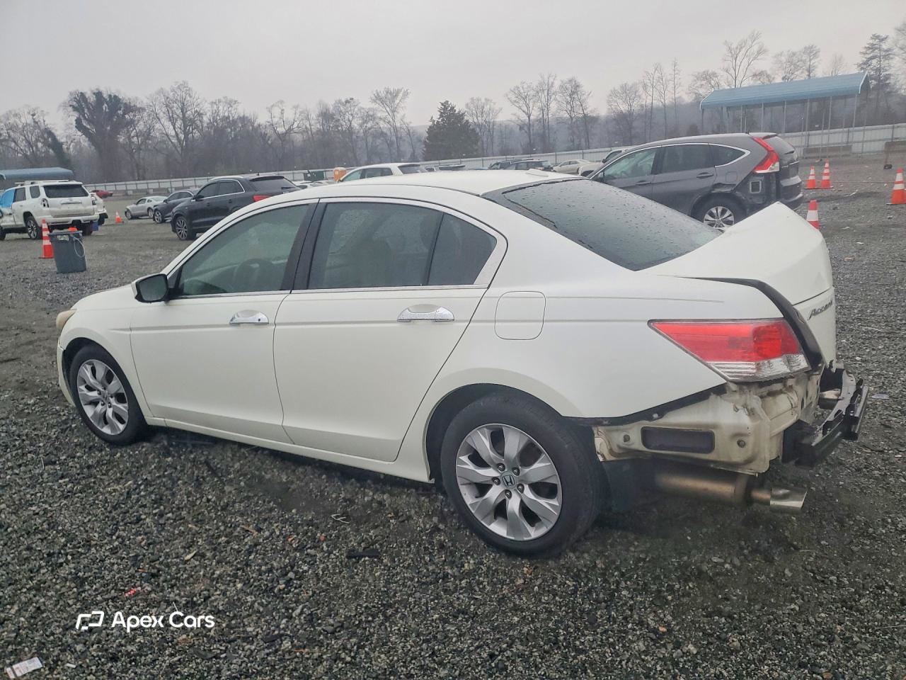Honda Accord 2010