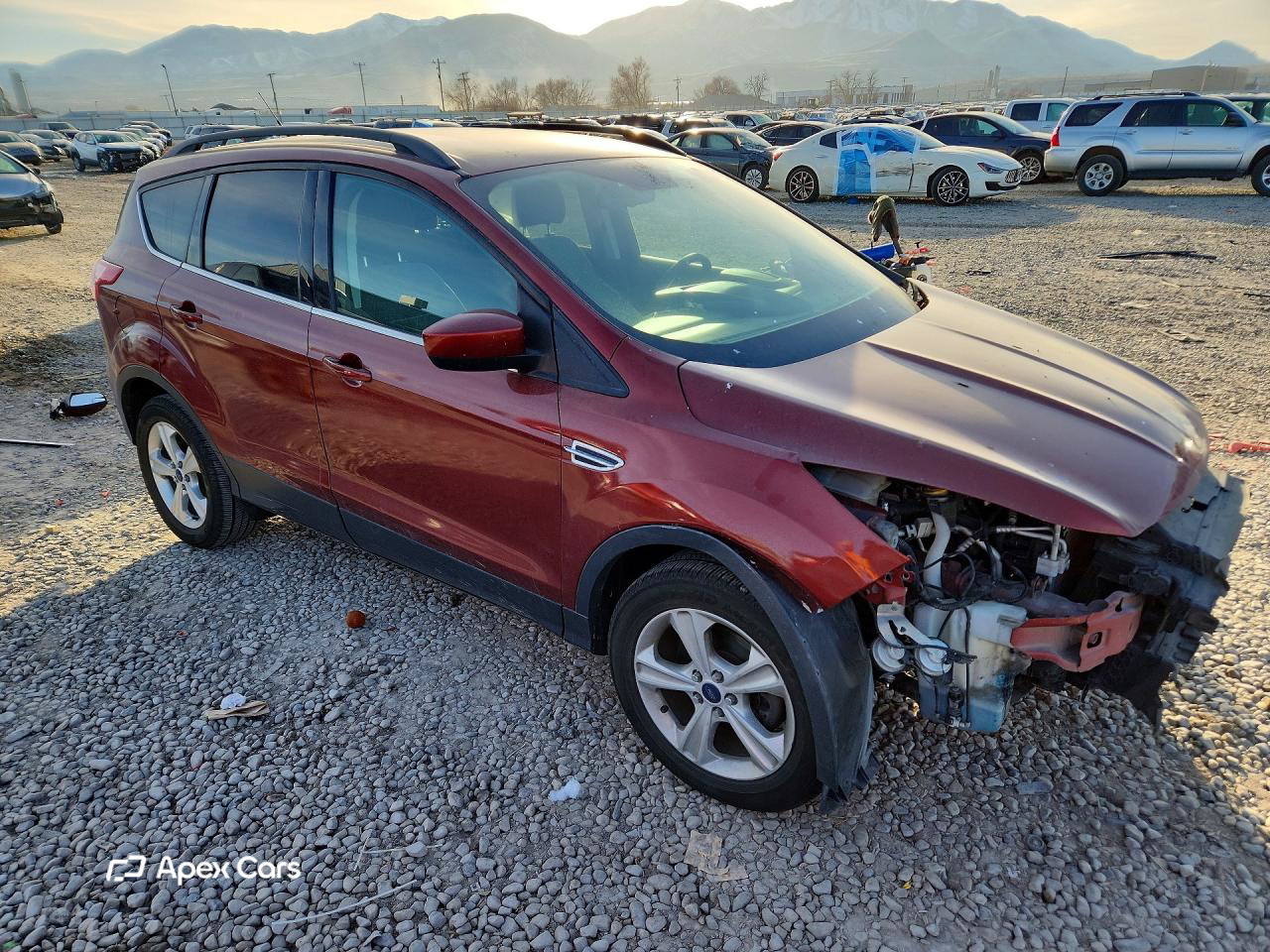 Ford Escape 2014