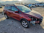 Ford Escape 2014