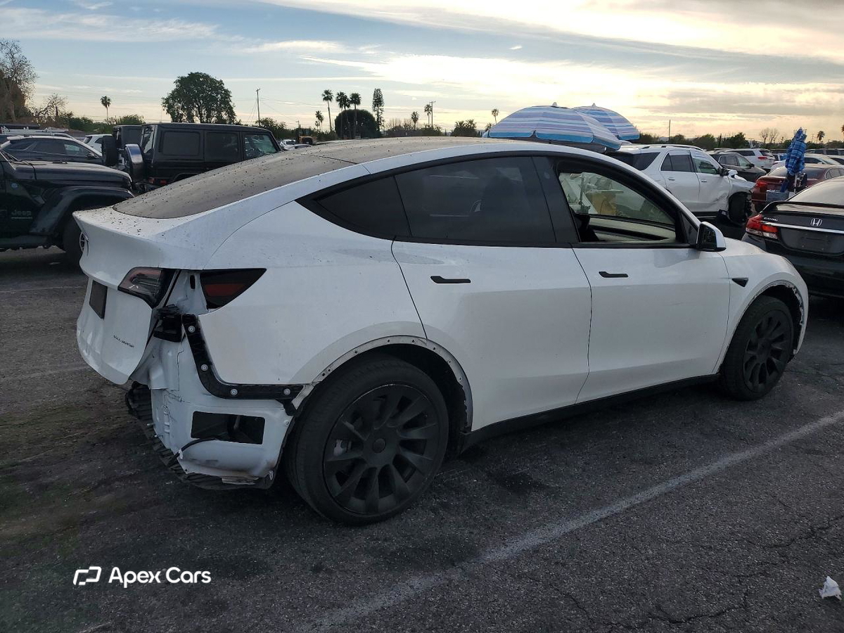 Tesla Model Y 2021