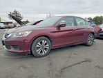 Honda Accord 2013