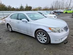 Lexus LS 2008