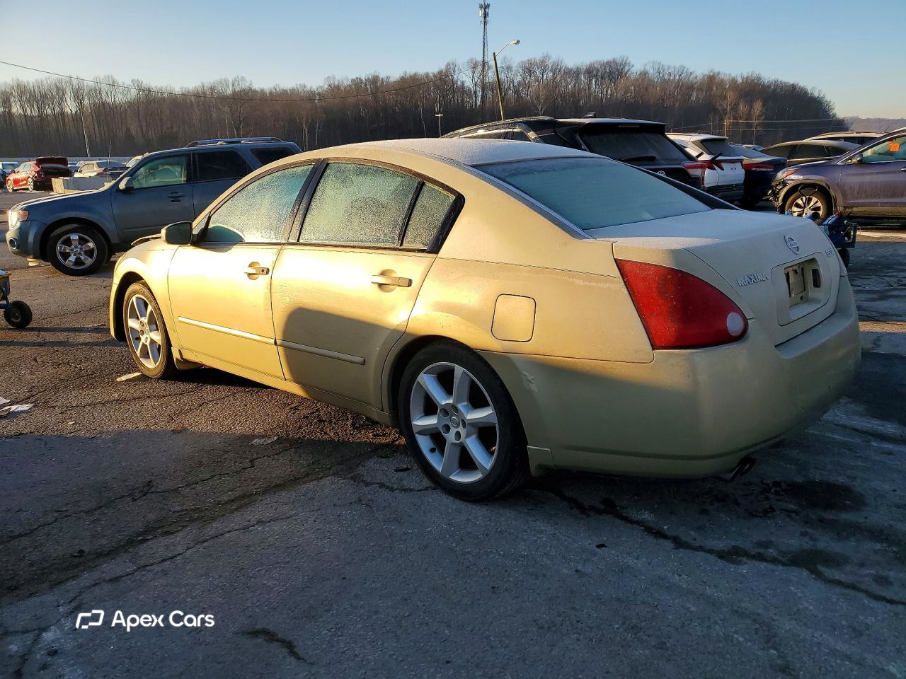 Nissan Maxima 2004