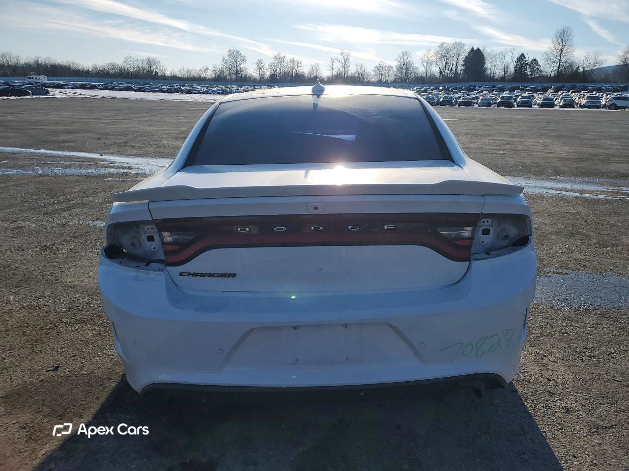 Dodge Charger 2019