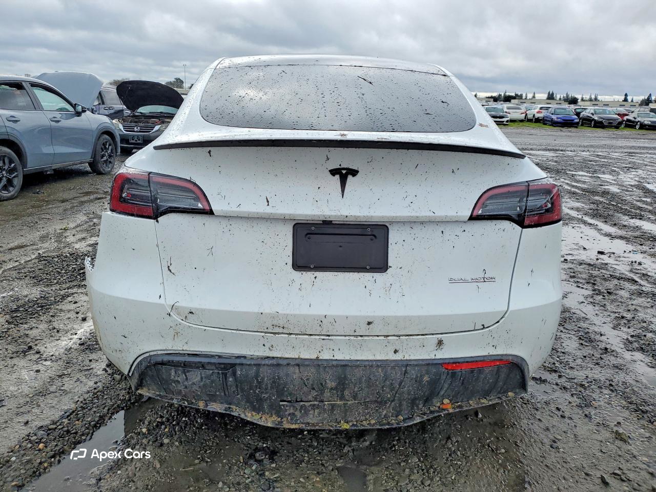 Tesla Model Y 2024