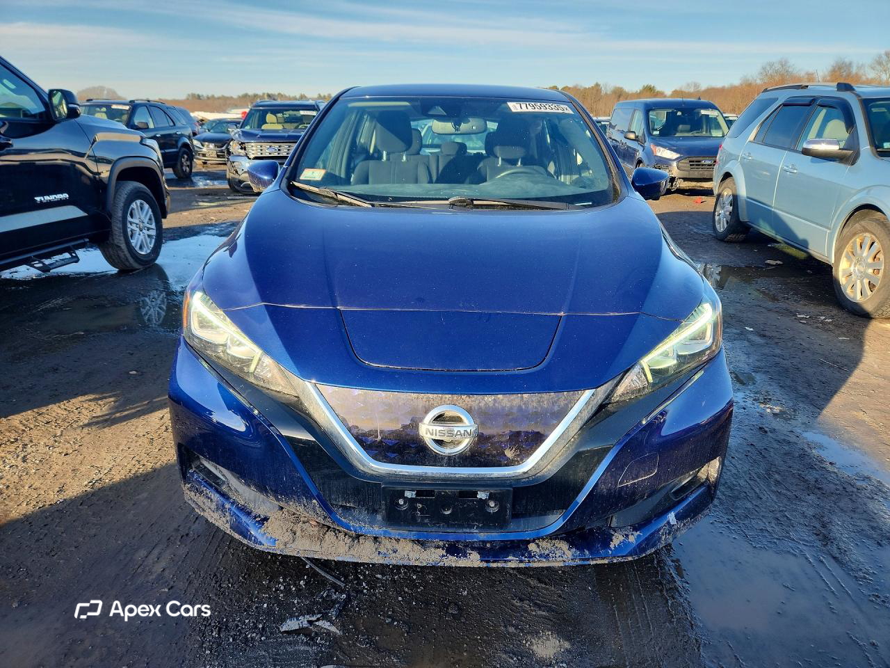 Nissan Leaf 2020