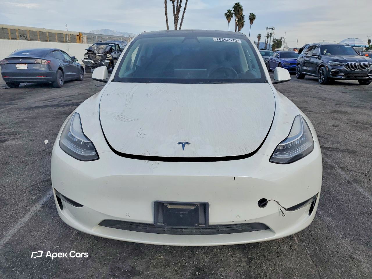 Tesla Model Y 2021
