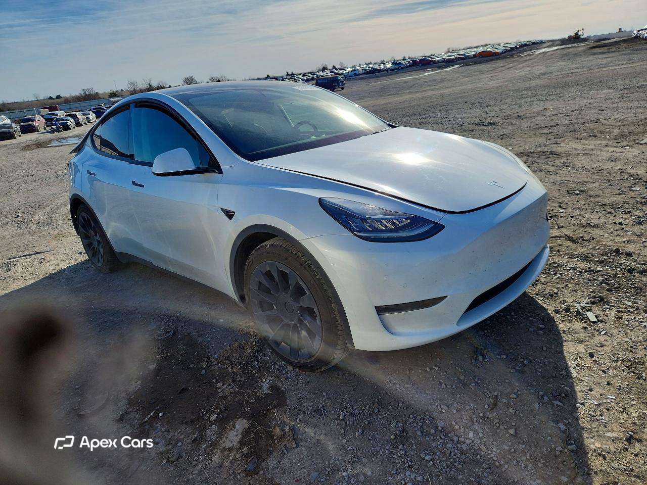 Tesla Model Y 2021