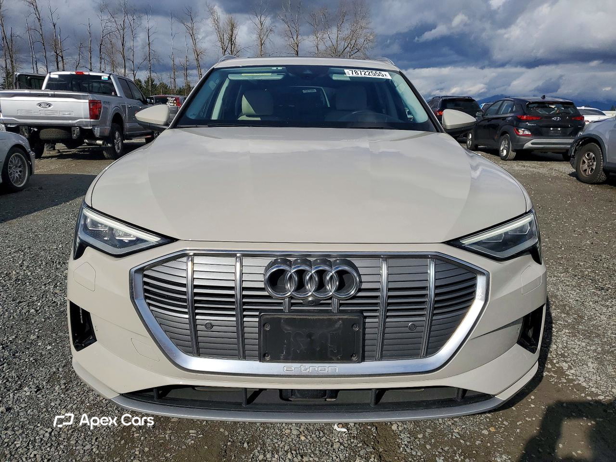 Audi e-tron 2019