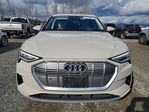 Audi e-tron 2019